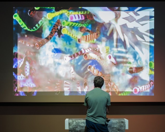 2017.PNCA.BOUNDARY CROSSING-50